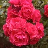 itd96fy84h
