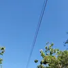 togekacangijo