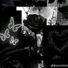 reem.abdulkadr