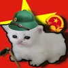 xinchaotoilakiet