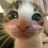 tothcsenge3