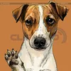 simon12_k