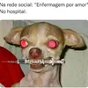 bernal4069