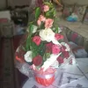 illis_nyamnahmed83