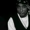 ci.alwashash