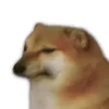 phamminhduc26th6