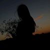 sofia_15559