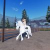 equestrianrider1.0