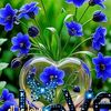 abuu.mld