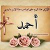 user2984827851743