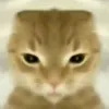 khjhhj2