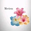 m.eriemmm