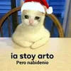 romi_abigail_