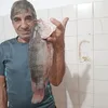 clovissil0