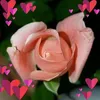 fatiadoukfatiadou