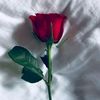 muhammed54585