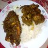 tanisa.jannat2368