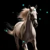 jalal.mourad1