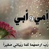 user487955043478