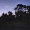 nashi_kachis