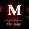 user80550888470452