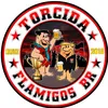 torcidaflamigosbr