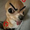 apshhhkpobgt