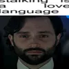 fxp_yz