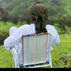 nihad9013