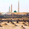 ابو العشي