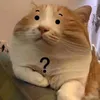 nhiennhonhan_23