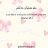 zaina2848