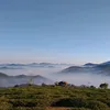 bienxanh5858