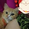 sofialuna4138