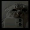 user4136857291840