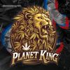 planetking180