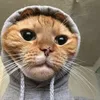 bollywo7.0