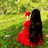 aktodrea