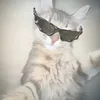 wojtiseeek