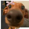 its_meangela06