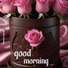 user7461027141205