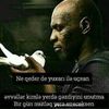 user6237608273513