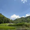 tjwkim7