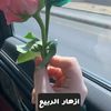 azhar.65_9