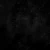 xiomirodriguez_