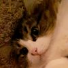 peanut846263