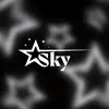 sky2fly_wt