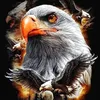 user8009881773468