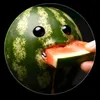 nichewatermelon1