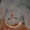 sameer_xlr8